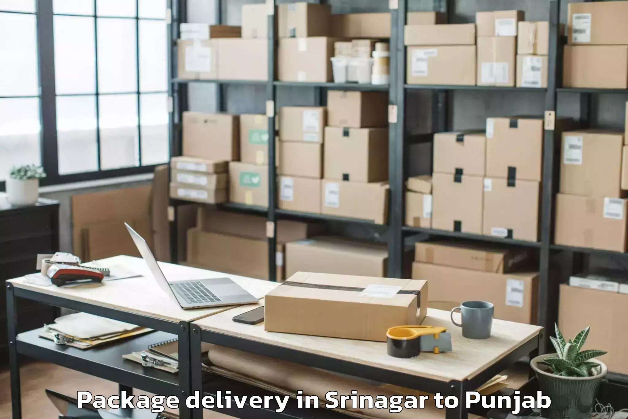 Srinagar to Patiala Package Delivery